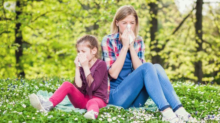 Насморк, плохое самочувствие и многое другое может вызвать сезонная аллергия. Цветы и прочие аллергены всегда по-разному воздействуют на здоровье. Лечимся!