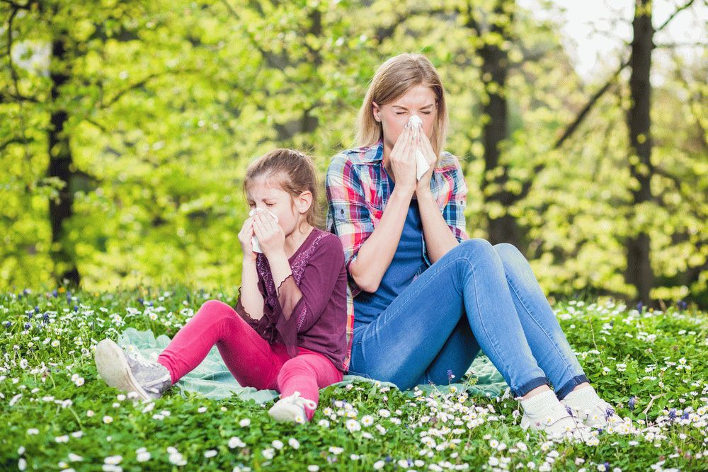 Насморк, плохое самочувствие и многое другое может вызвать сезонная аллергия. Цветы и прочие аллергены всегда по-разному воздействуют на здоровье. Лечимся!